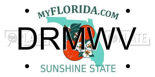 DRMWV Florida License Plate