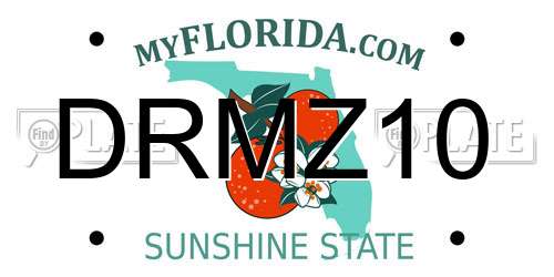 DRMZ10 Florida License Plate