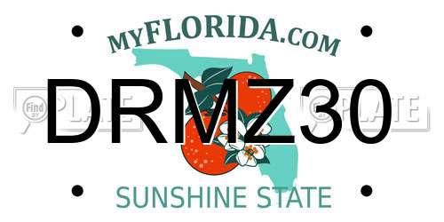 DRMZ30 Florida License Plate