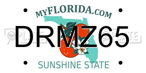 DRMZ65 Florida License Plate