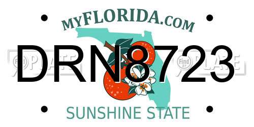 DRN8723 Florida License Plate