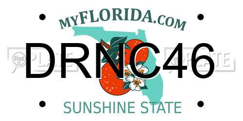 DRNC46 Florida License Plate