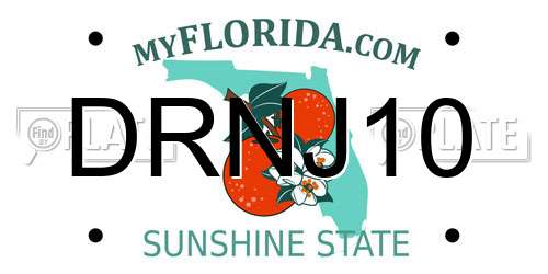 DRNJ10 Florida License Plate
