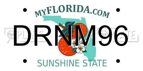 DRNM96 Florida License Plate