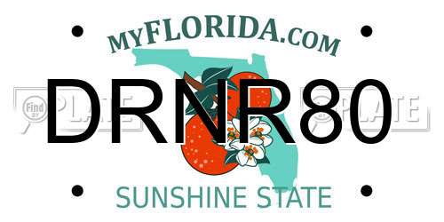 DRNR80 Florida License Plate