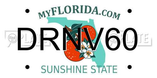 DRNV60 Florida License Plate