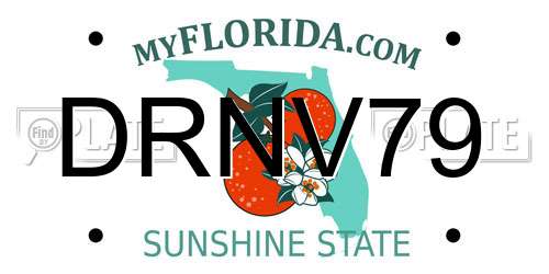 DRNV79 Florida License Plate