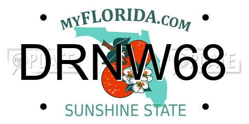 DRNW68 Florida License Plate
