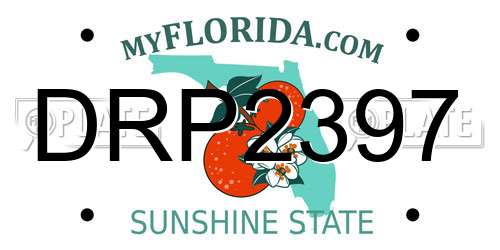 DRP2397 Florida License Plate