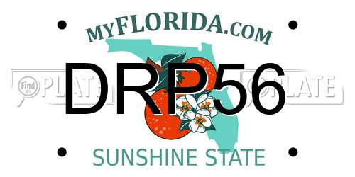 DRP56 Florida License Plate