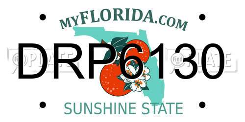 DRP6130 Florida License Plate