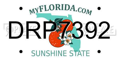 DRP7392 Florida License Plate