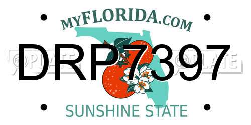 DRP7397 Florida License Plate