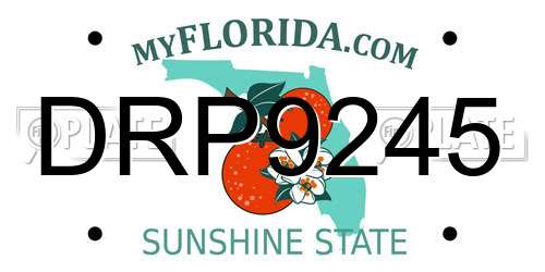 DRP9245 Florida License Plate