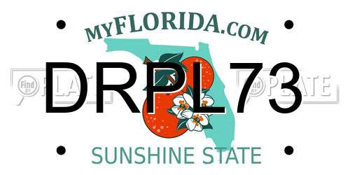DRPL73 Florida License Plate