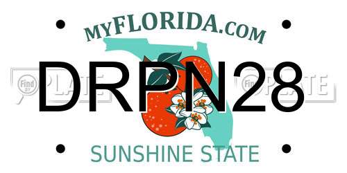 DRPN28 Florida License Plate