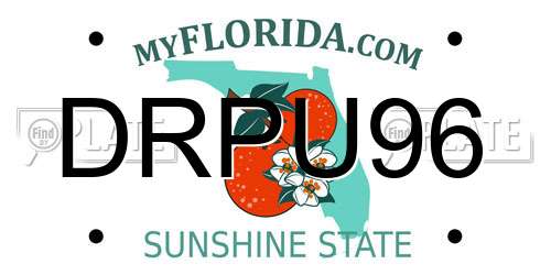 DRPU96 Florida License Plate
