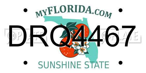 DRQ4467 Florida License Plate