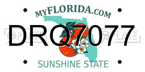 DRQ7077 Florida License Plate