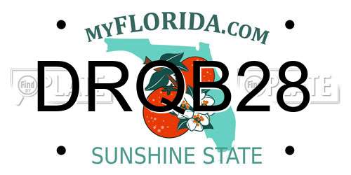 DRQB28 Florida License Plate