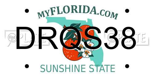 DRQS38 Florida License Plate