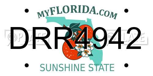 DRR4942 Florida License Plate