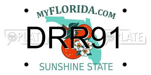 DRR91 Florida License Plate