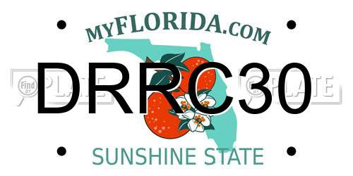DRRC30 Florida License Plate