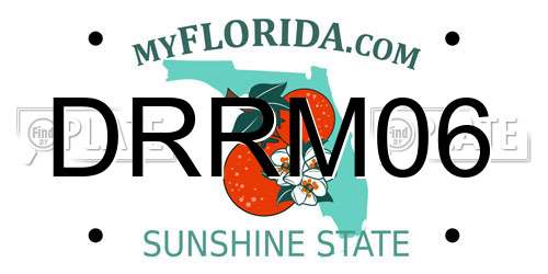 DRRM06 Florida License Plate