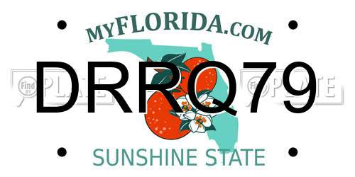 DRRQ79 Florida License Plate