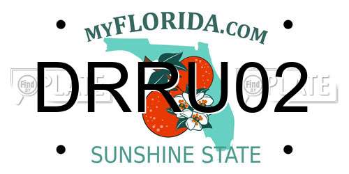 DRRU02 Florida License Plate