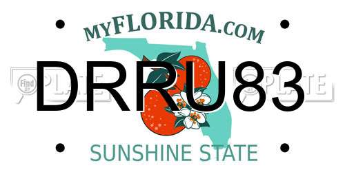 DRRU83 Florida License Plate