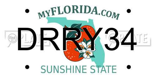 DRRY34 Florida License Plate