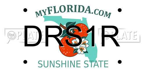 DRS1R Florida License Plate