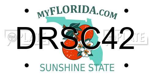 DRSC42 Florida License Plate