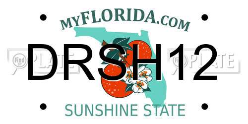 DRSH12 Florida License Plate