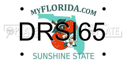 DRSI65 Florida License Plate