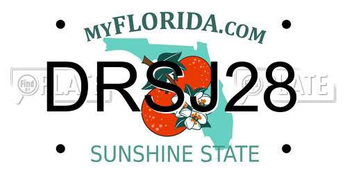 DRSJ28 Florida License Plate
