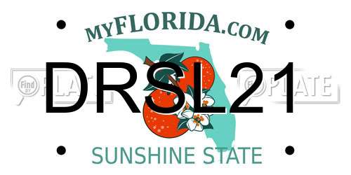 DRSL21 Florida License Plate
