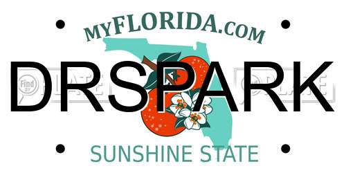 DRSPARK Florida License Plate