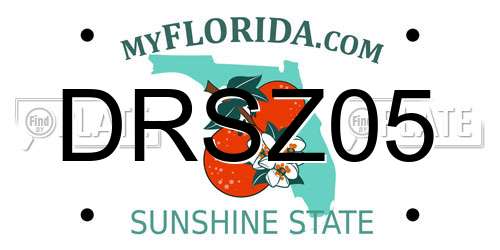 DRSZ05 Florida License Plate