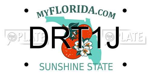 DRT1J Florida License Plate