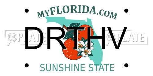 DRTHV Florida License Plate