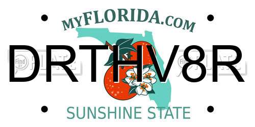 DRTHV8R Florida License Plate