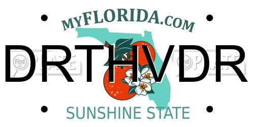 DRTHVDR Florida License Plate