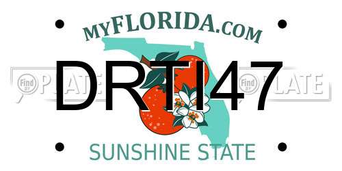 DRTI47 Florida License Plate