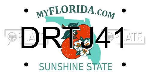 DRTJ41 Florida License Plate