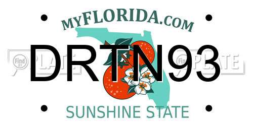 DRTN93 Florida License Plate
