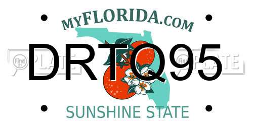 DRTQ95 Florida License Plate
