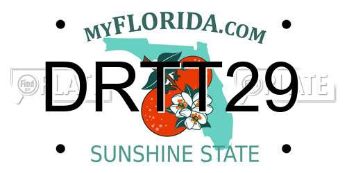 DRTT29 Florida License Plate